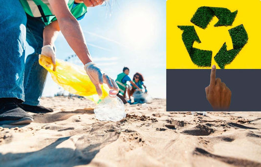 Palm Beach County's Recycling Efforts