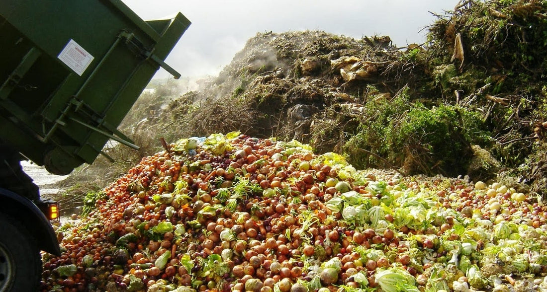 10 Effective Tips for Food Waste Disposal and Recycling Management