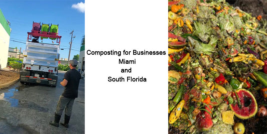 Composting for Businesses in Miami and South Florida: Embracing Sustainability