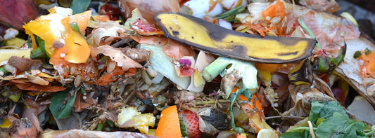 Florida's Composting and Food Waste Diversion