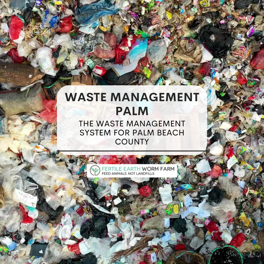 The Comprehensive Waste Management System for Palm Beach County